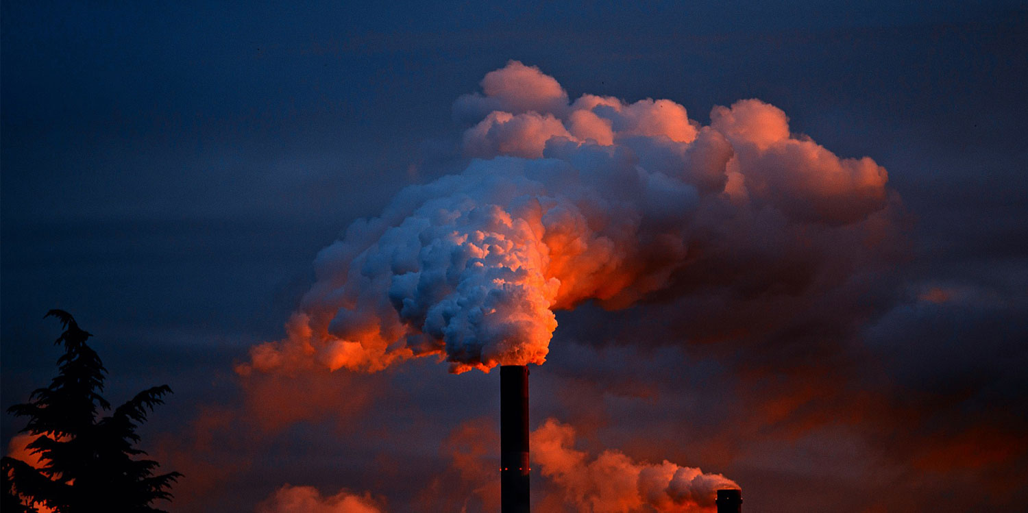 Supplier Partnerships That Create Long-Term Value